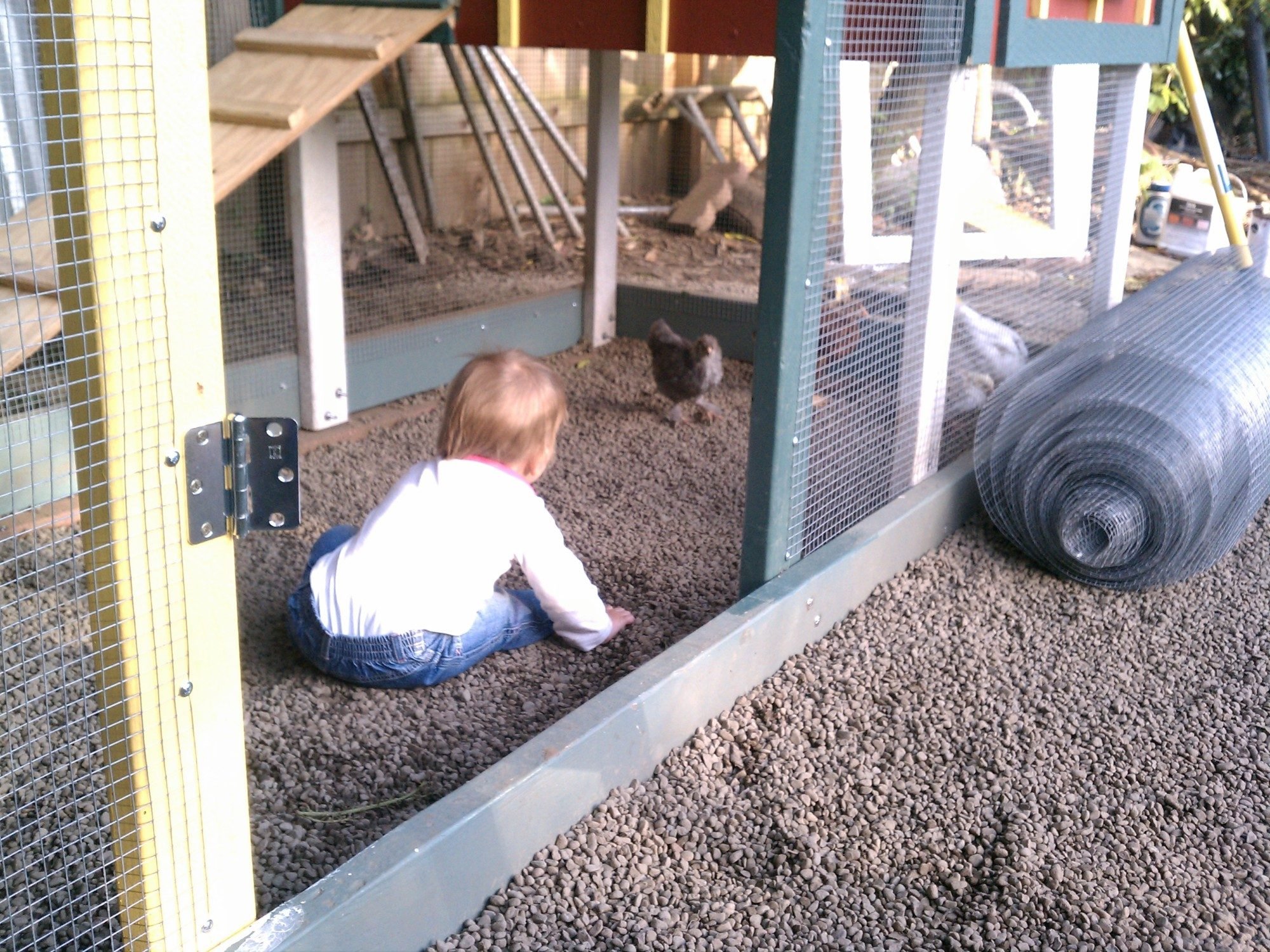 2012-05-06 18.43.29.jpg