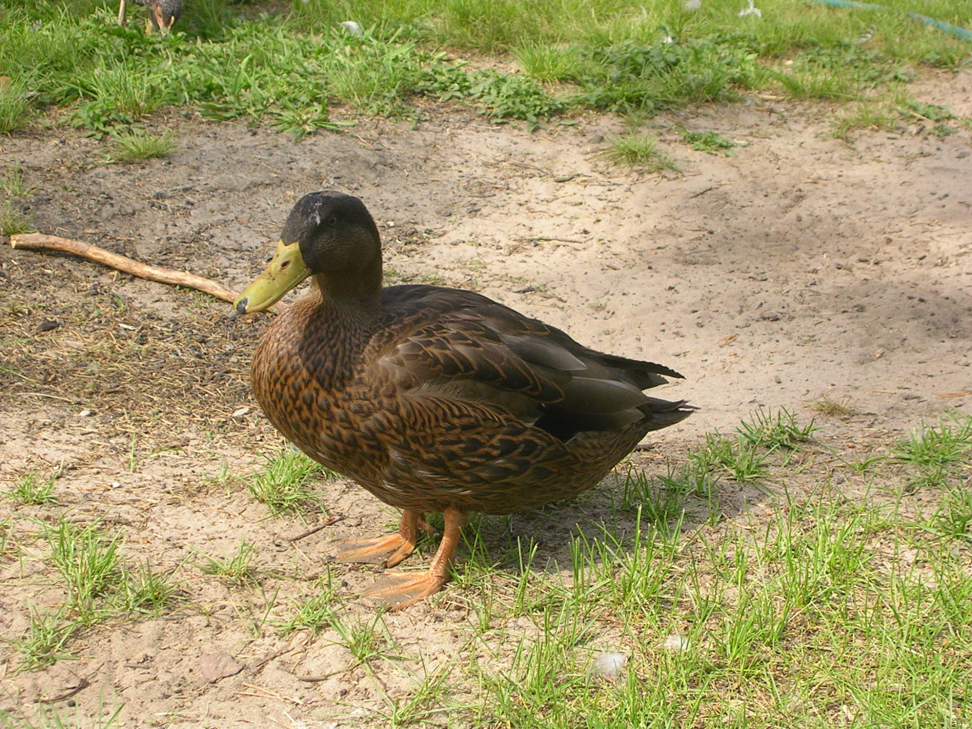 5152012 006.JPG
