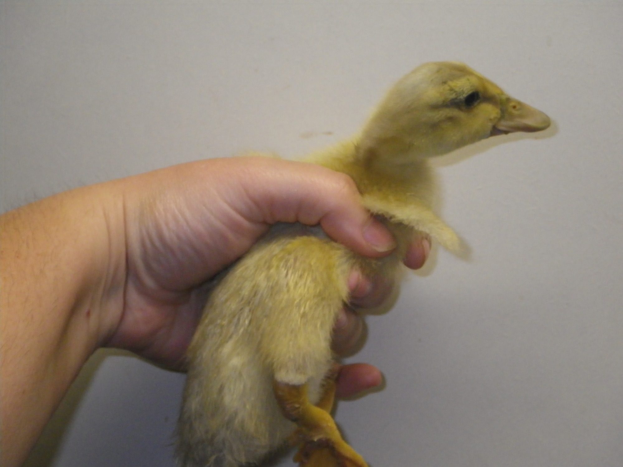 April 2012 020.JPG