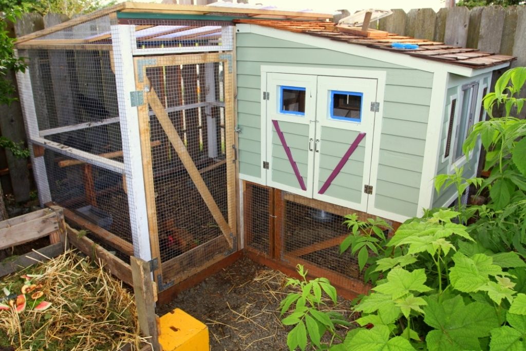 chicken coop backyard