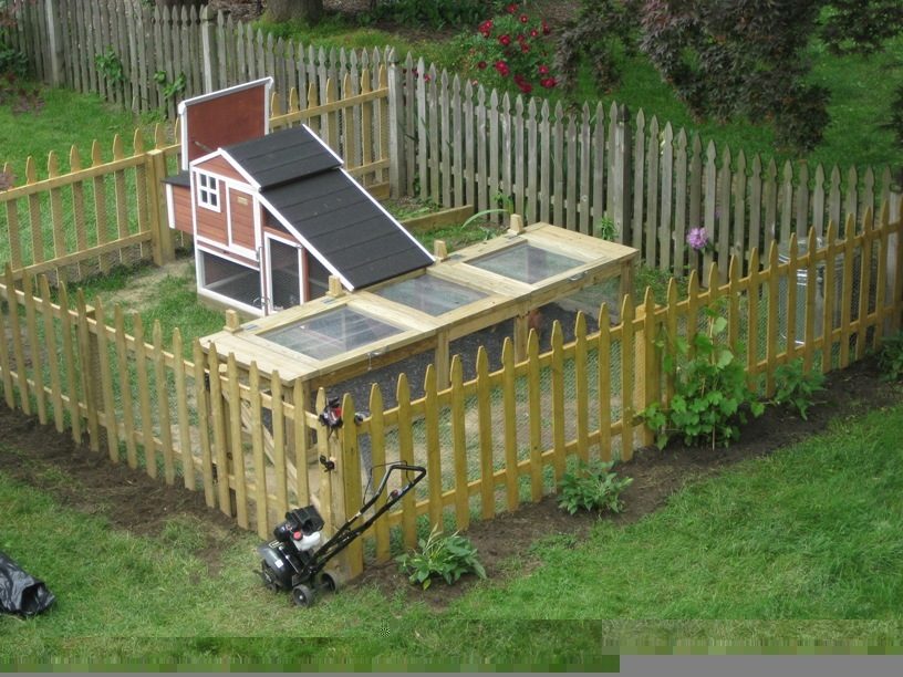 close up of coop area.JPG