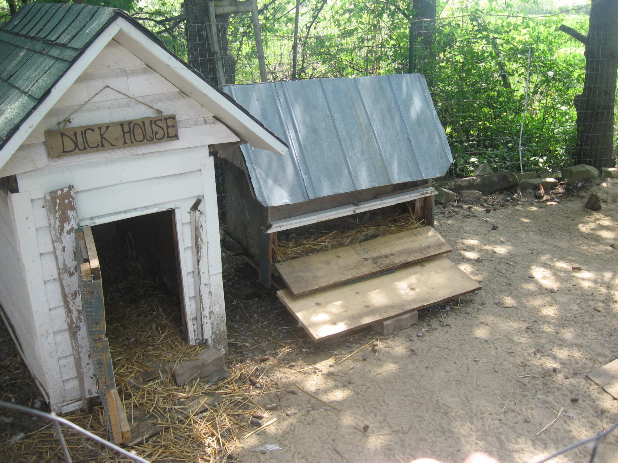 Duck Shelters