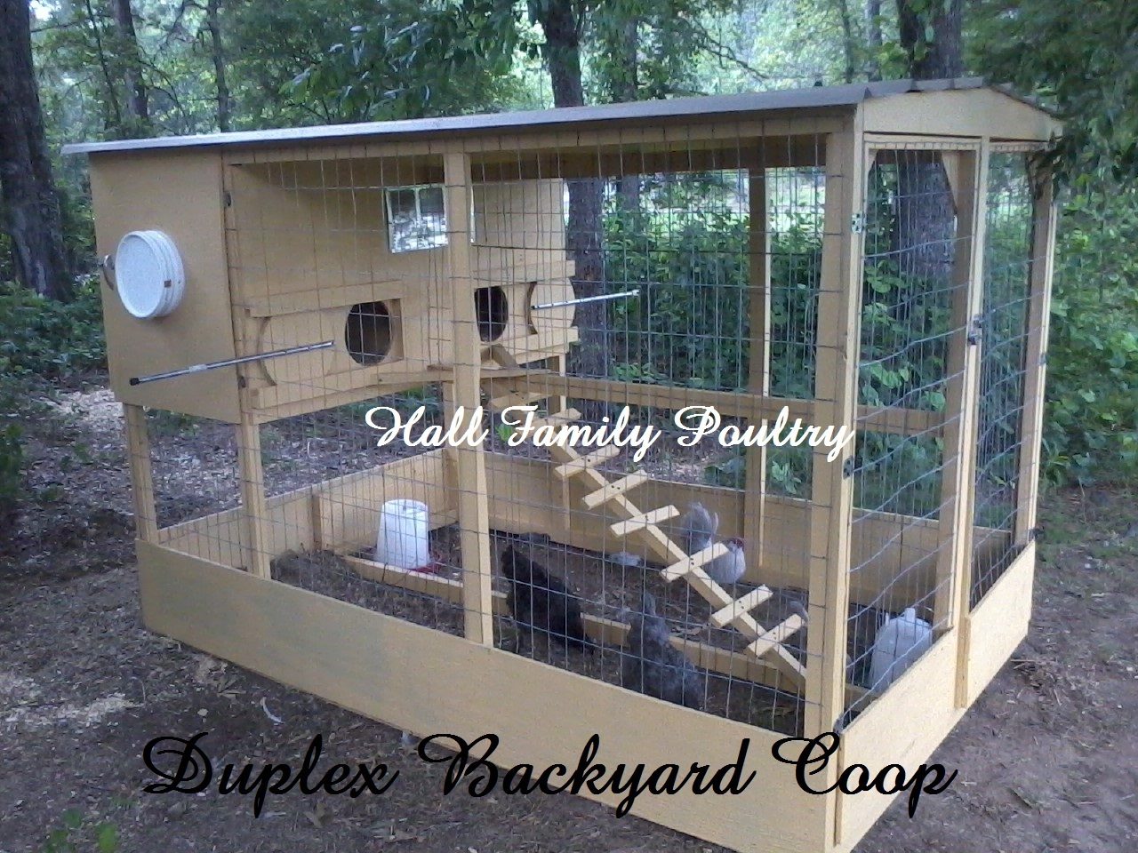 our 4 x4 cube coop our 4 x8 coop our 6 x8 coop they ordered three ...