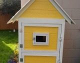 Small Chicken Coop Designs & Pictures of Chicken Coops