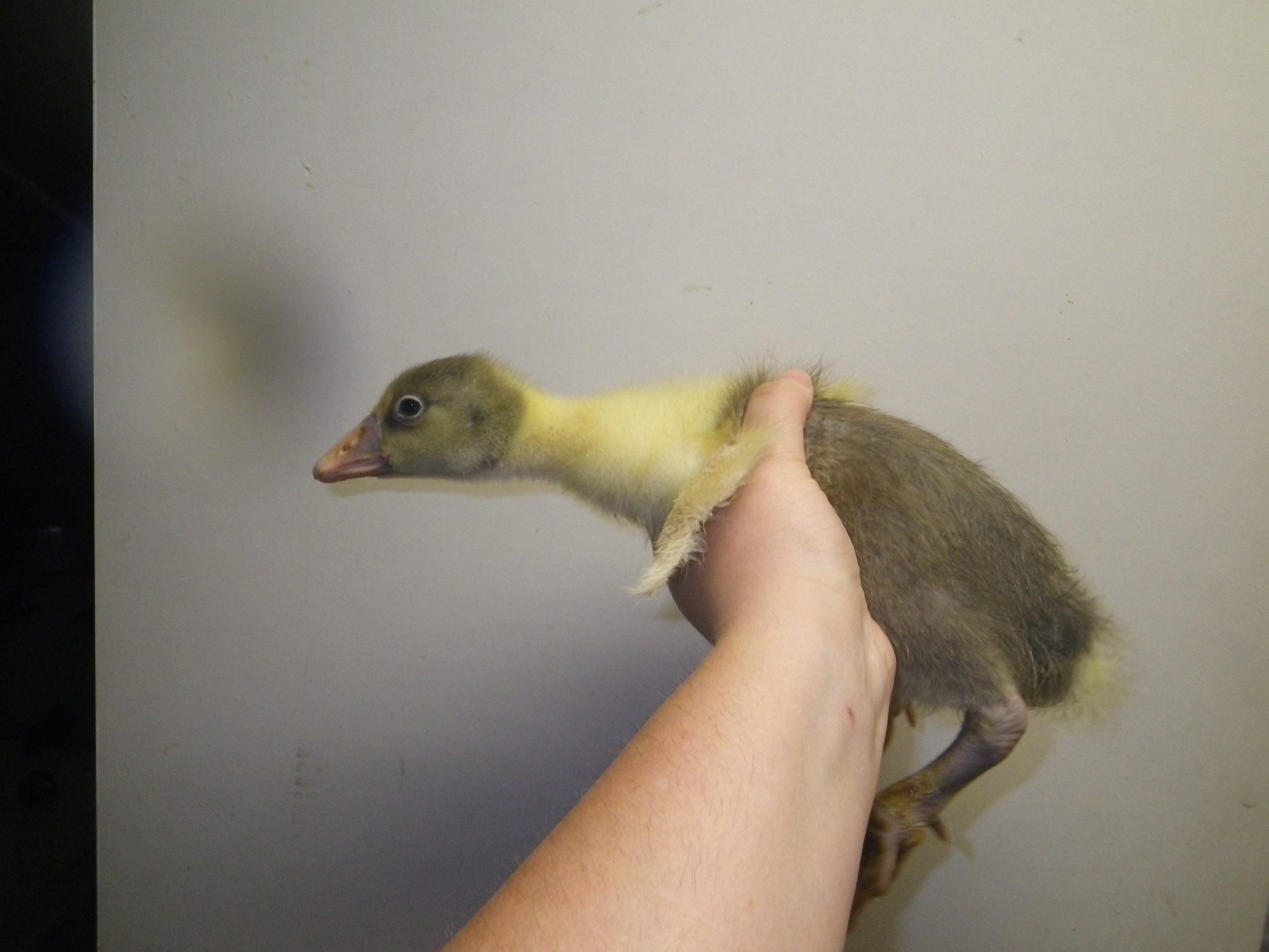 April 2012 029.JPG
