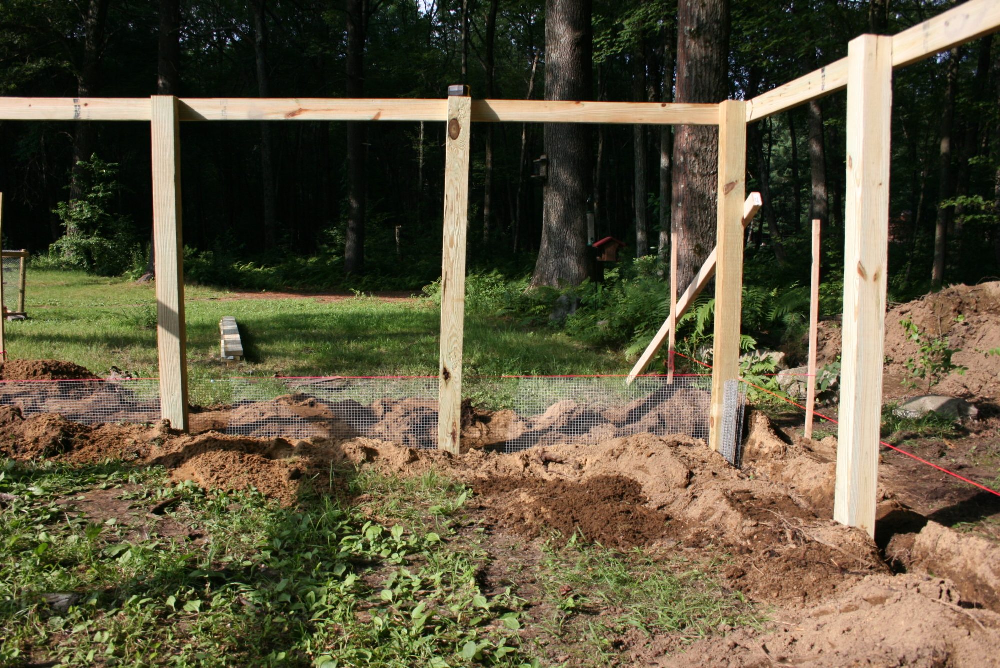 diy chicken run