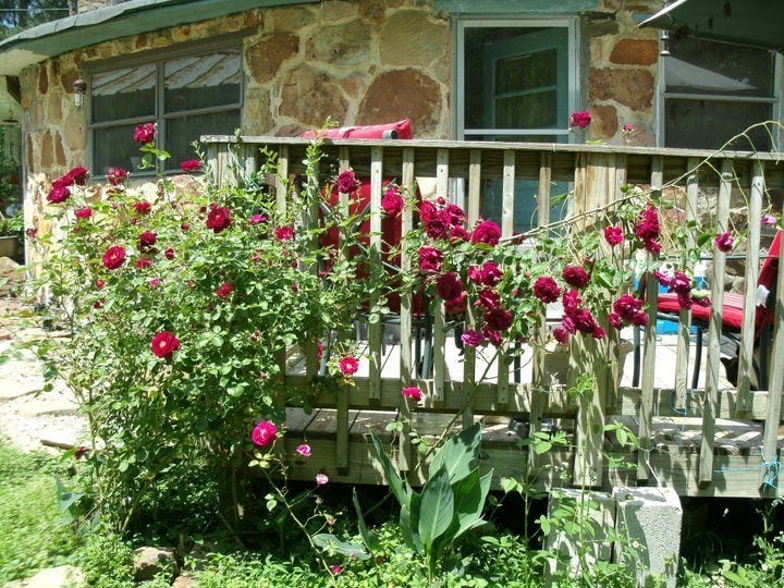 BackDeck.jpg