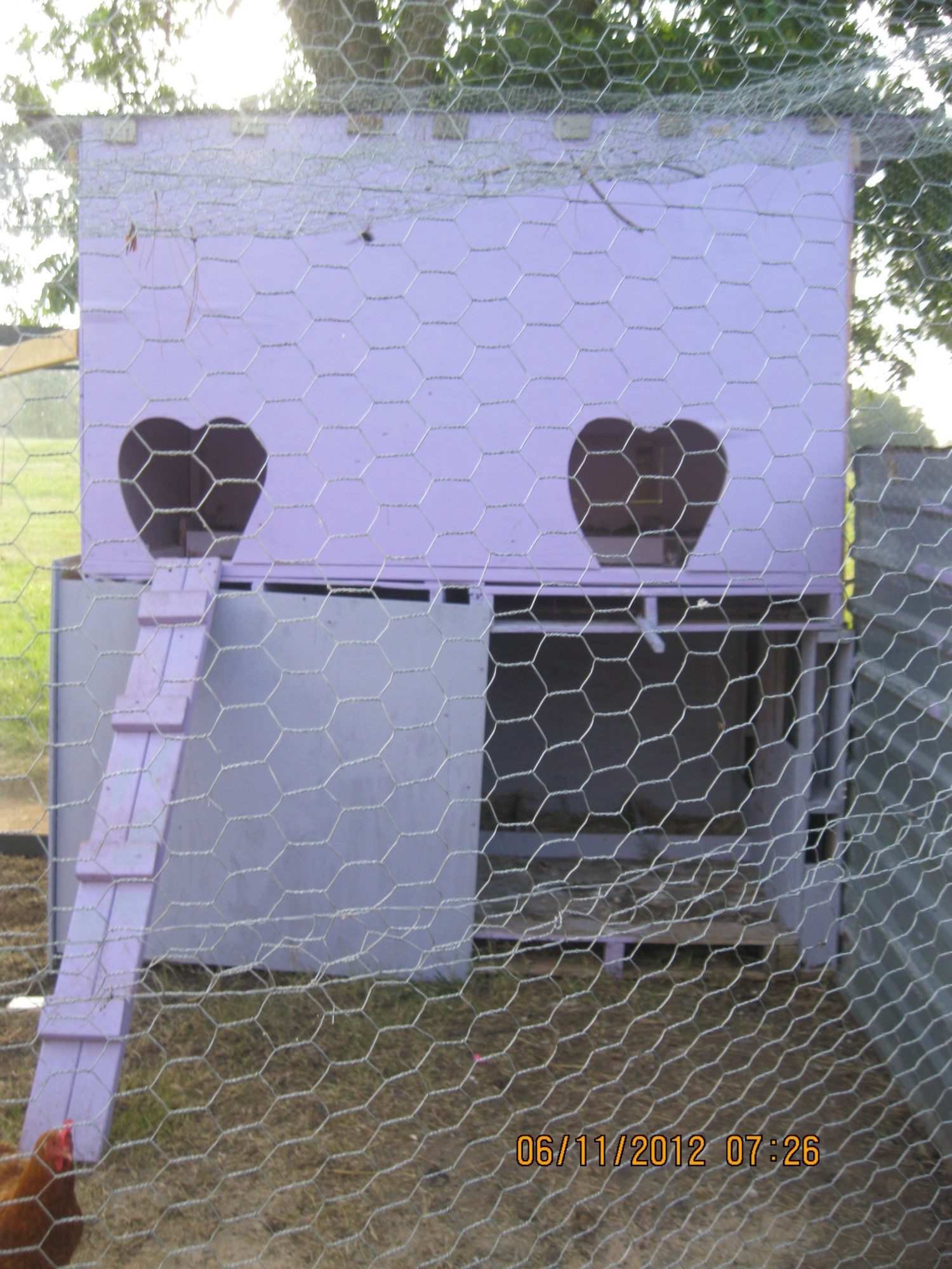 just chickens 003.JPG