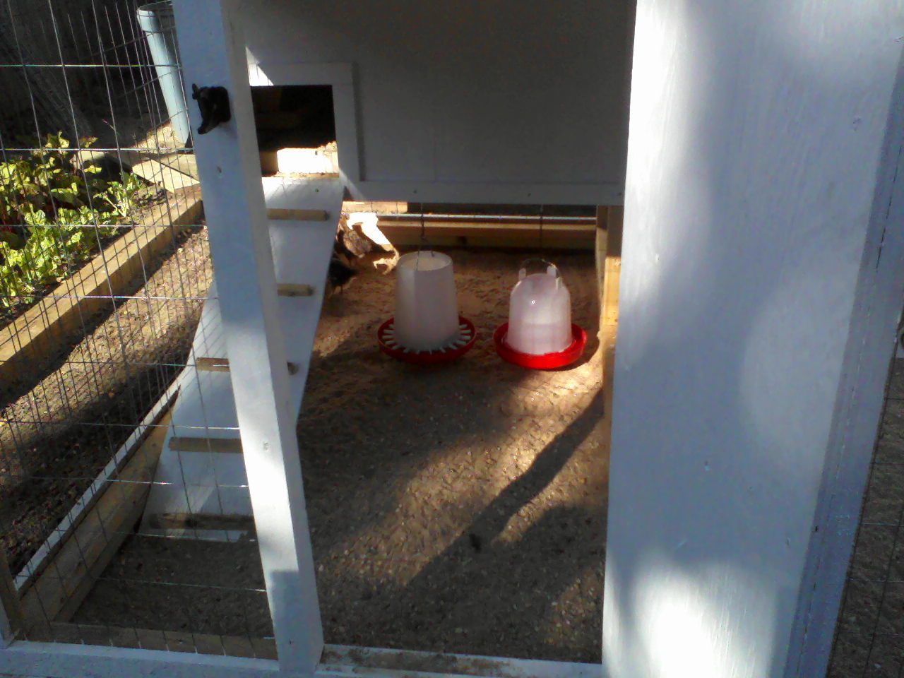 P06-15-12_17.30.jpg