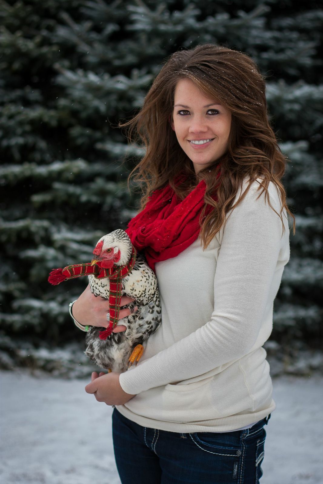 Lace's christmas photo shoot 2013