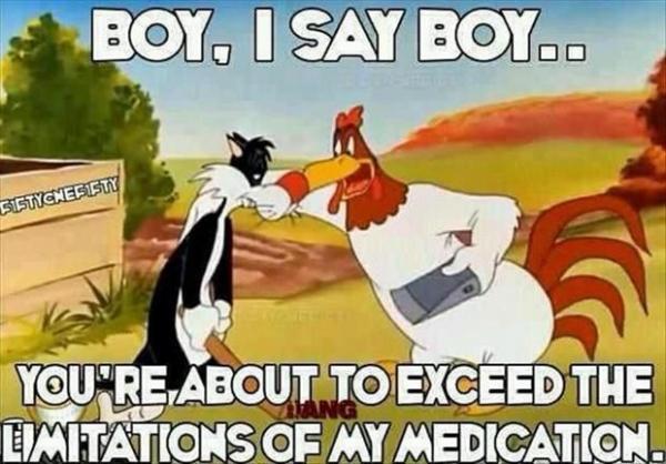 2bff16dc_foghorn-leghorn-quotes-sayings-joke-pics.jpeg