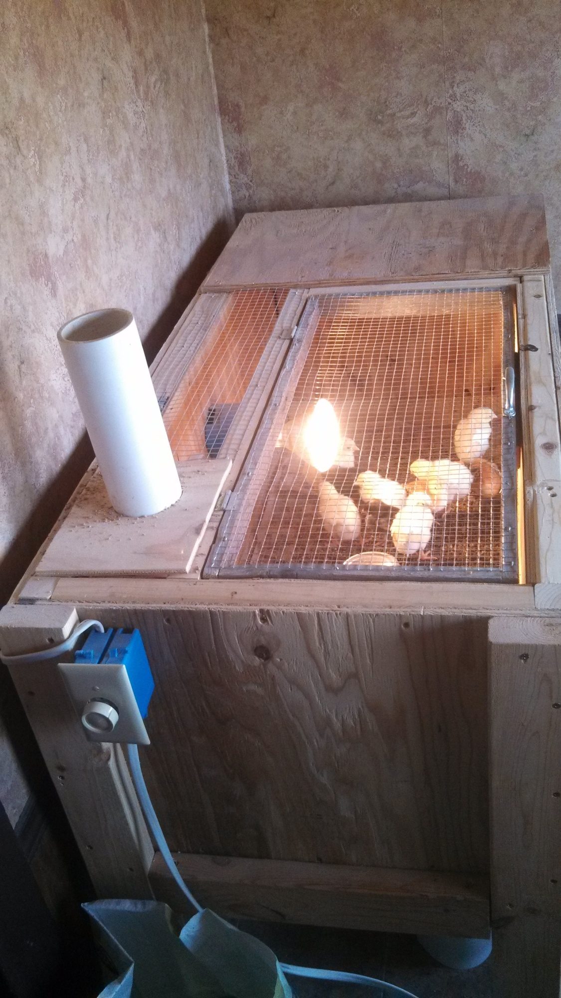 Vocabulary Mara Romo Lizama