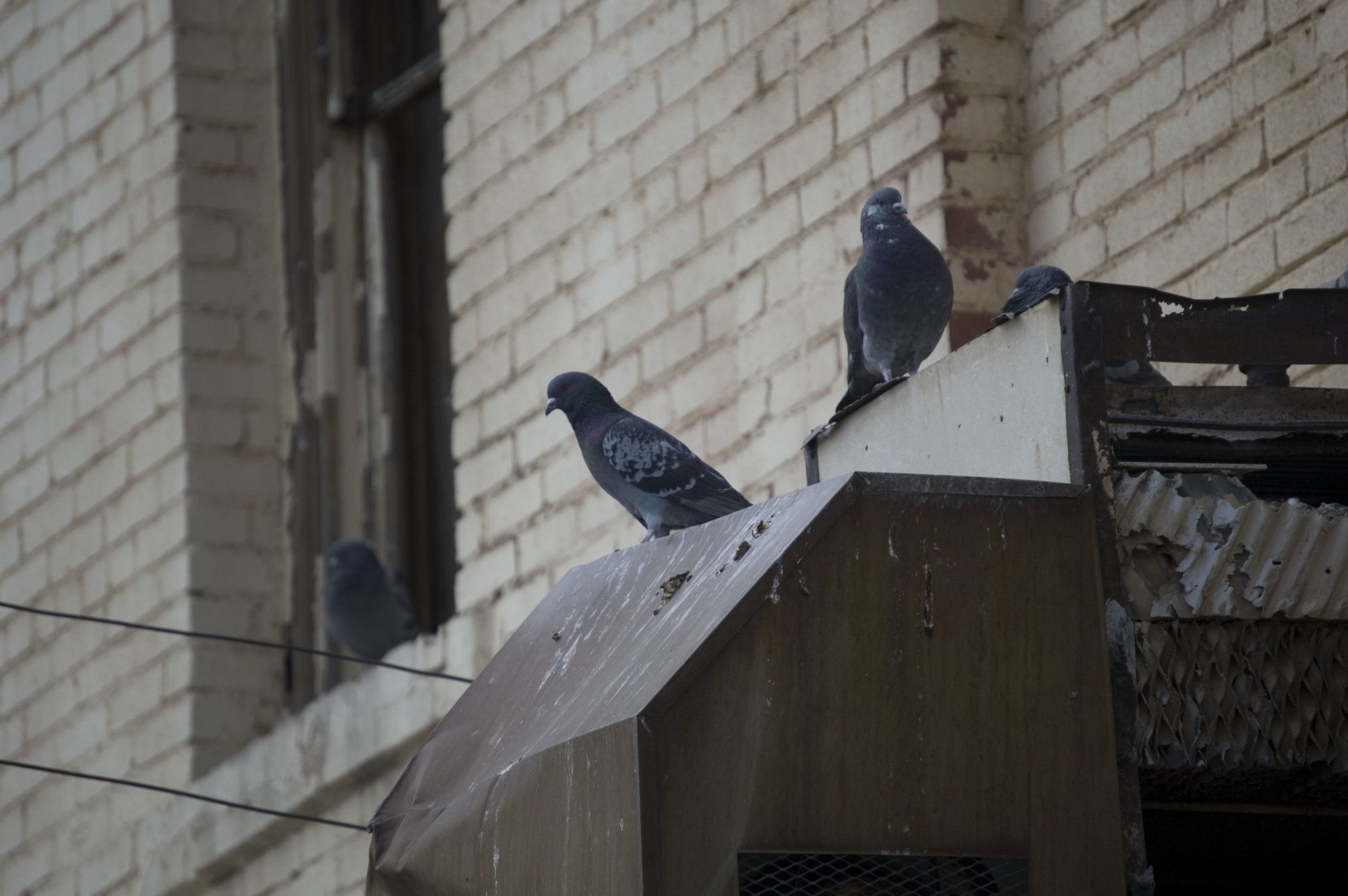 DSC_0002.JPG