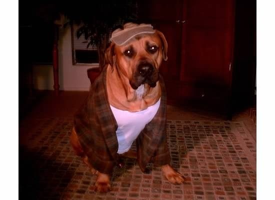 Seb dressed.jpg
