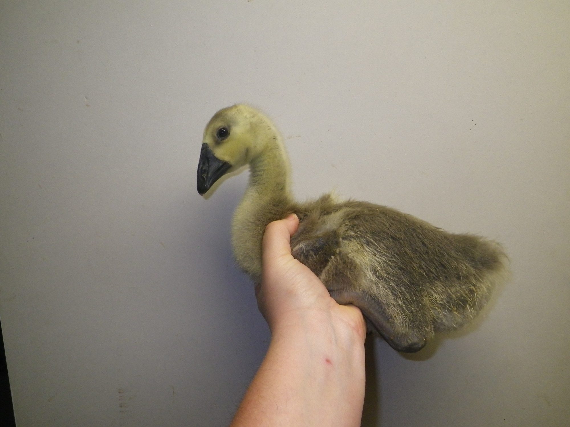 April 2012 027.JPG