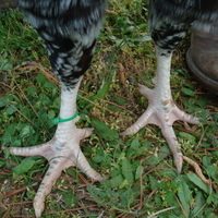 feet.jpg