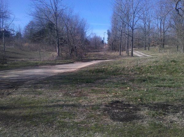 driveway.jpg