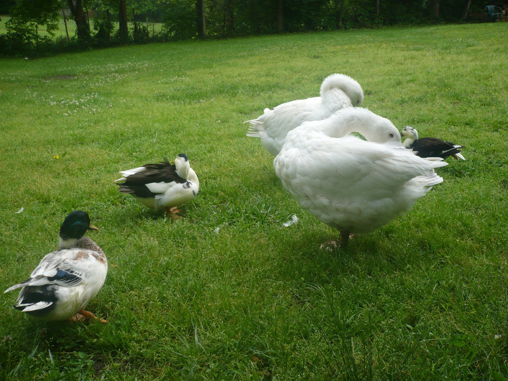 P1070446.JPG