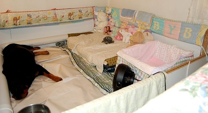 2010-9-8pennyinthebox1.jpg
