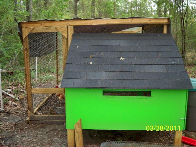 What color should I paint the new chicken coop?