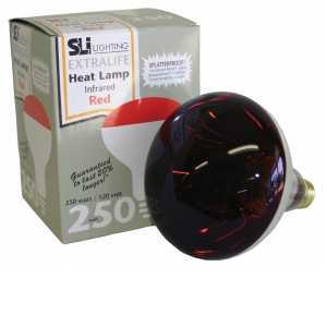 Infra-Red Brooder Bulb