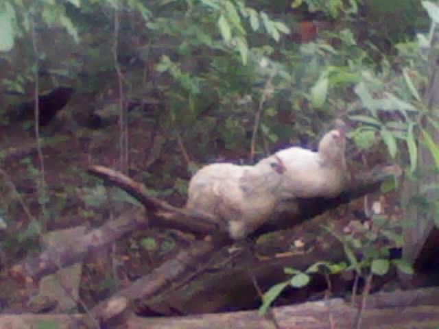 May25_004.jpg