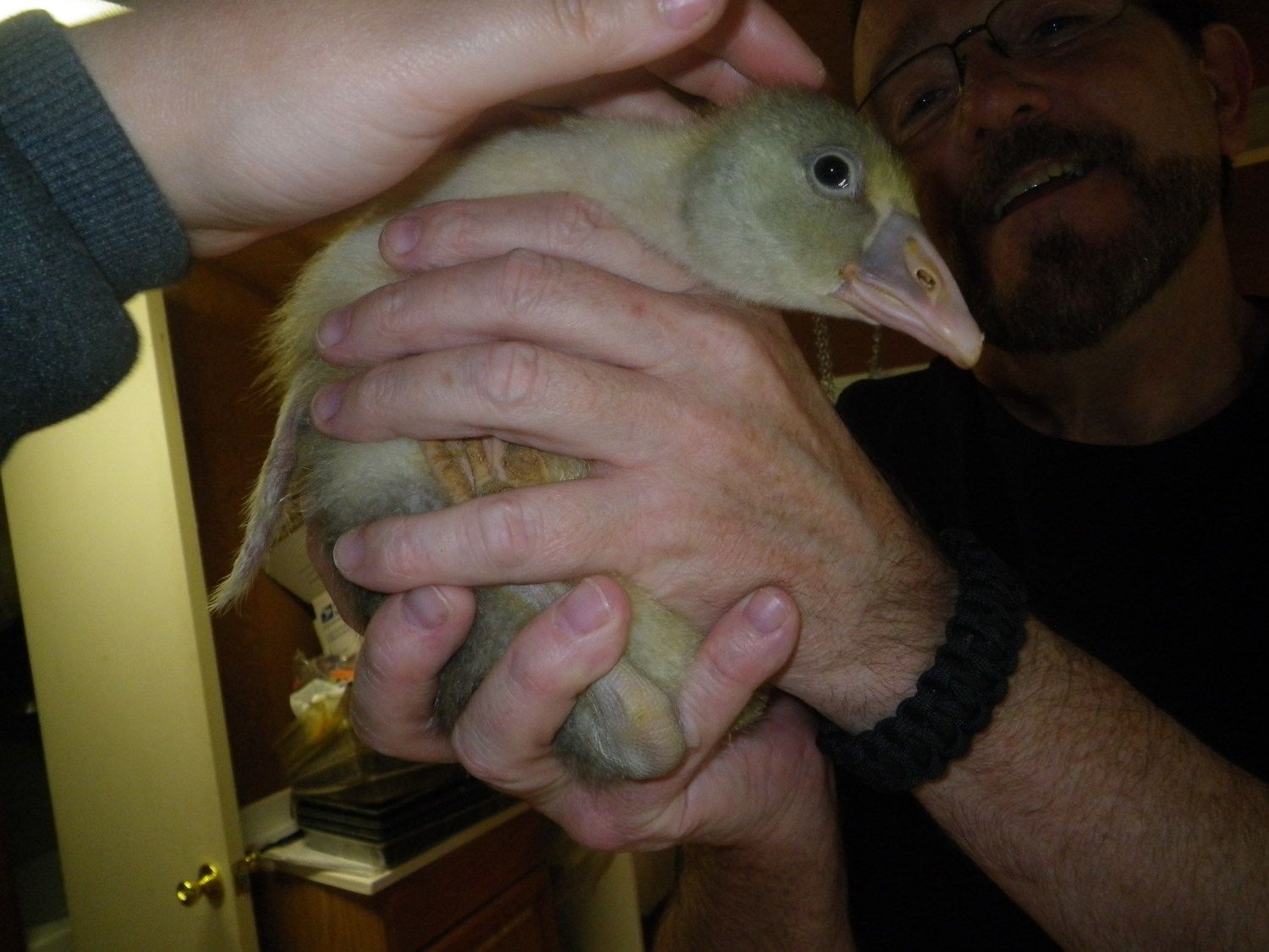 April 2012 023.JPG