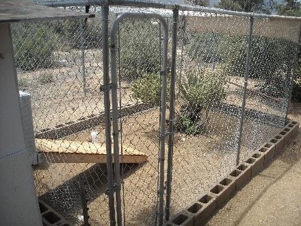 Inside Chicken Coop Layout Chicken Coop 6 Jpg