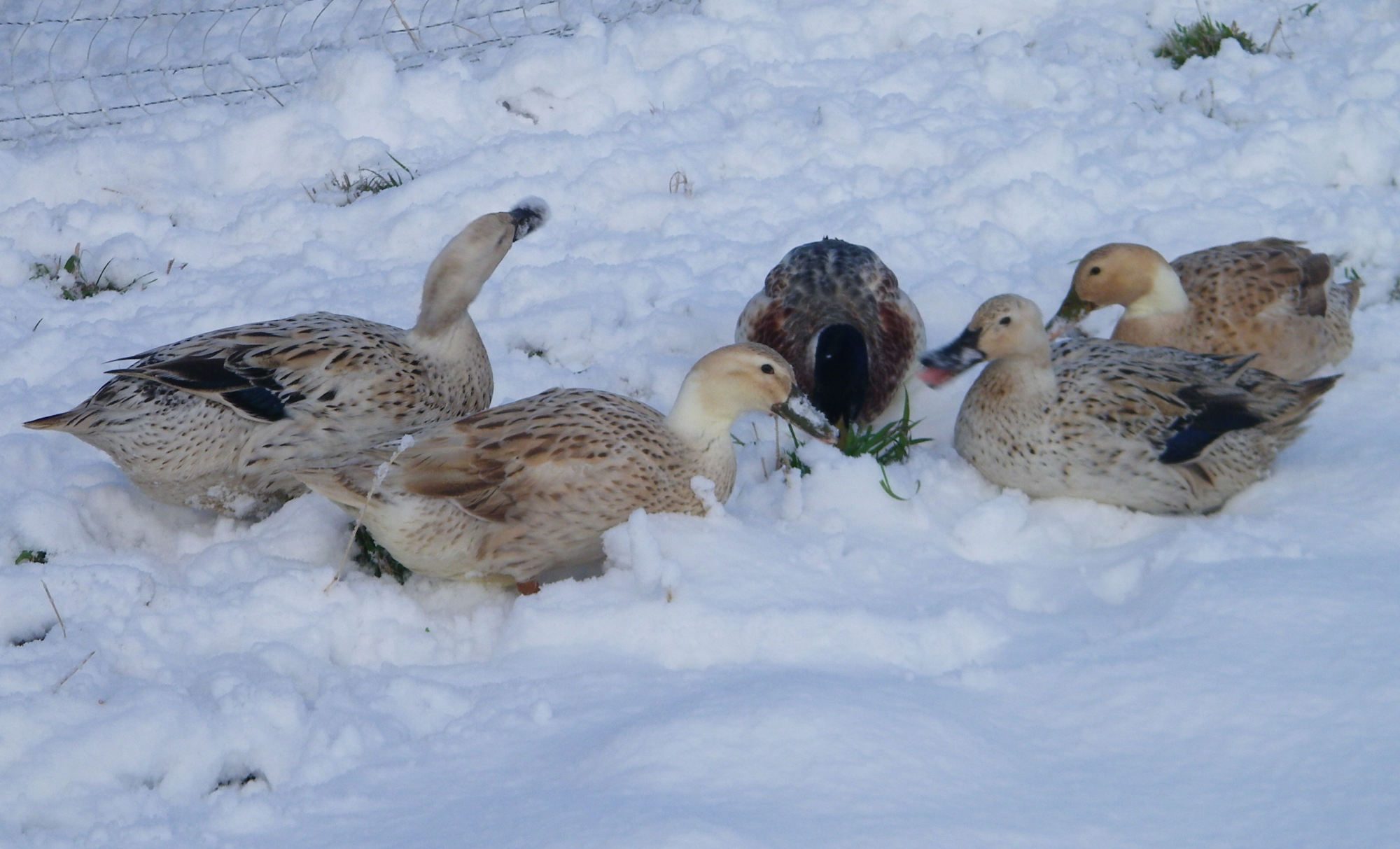 January 2012 204.JPG