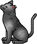 Ashpaw.png