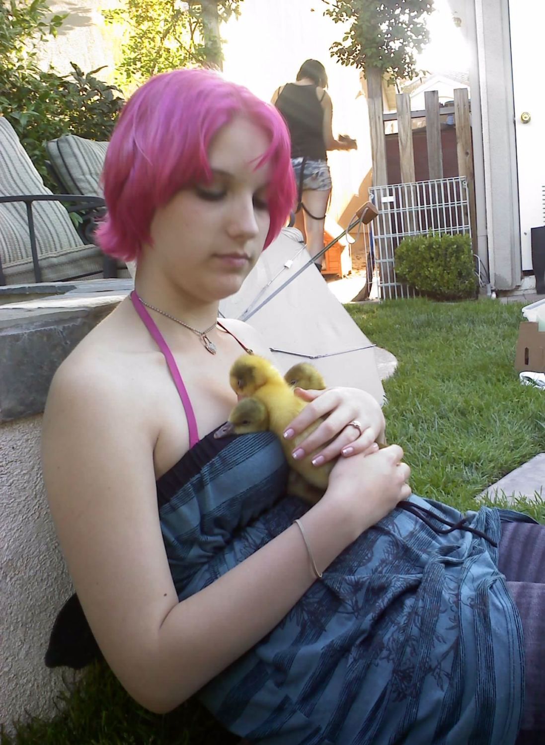 chia's pets.jpg