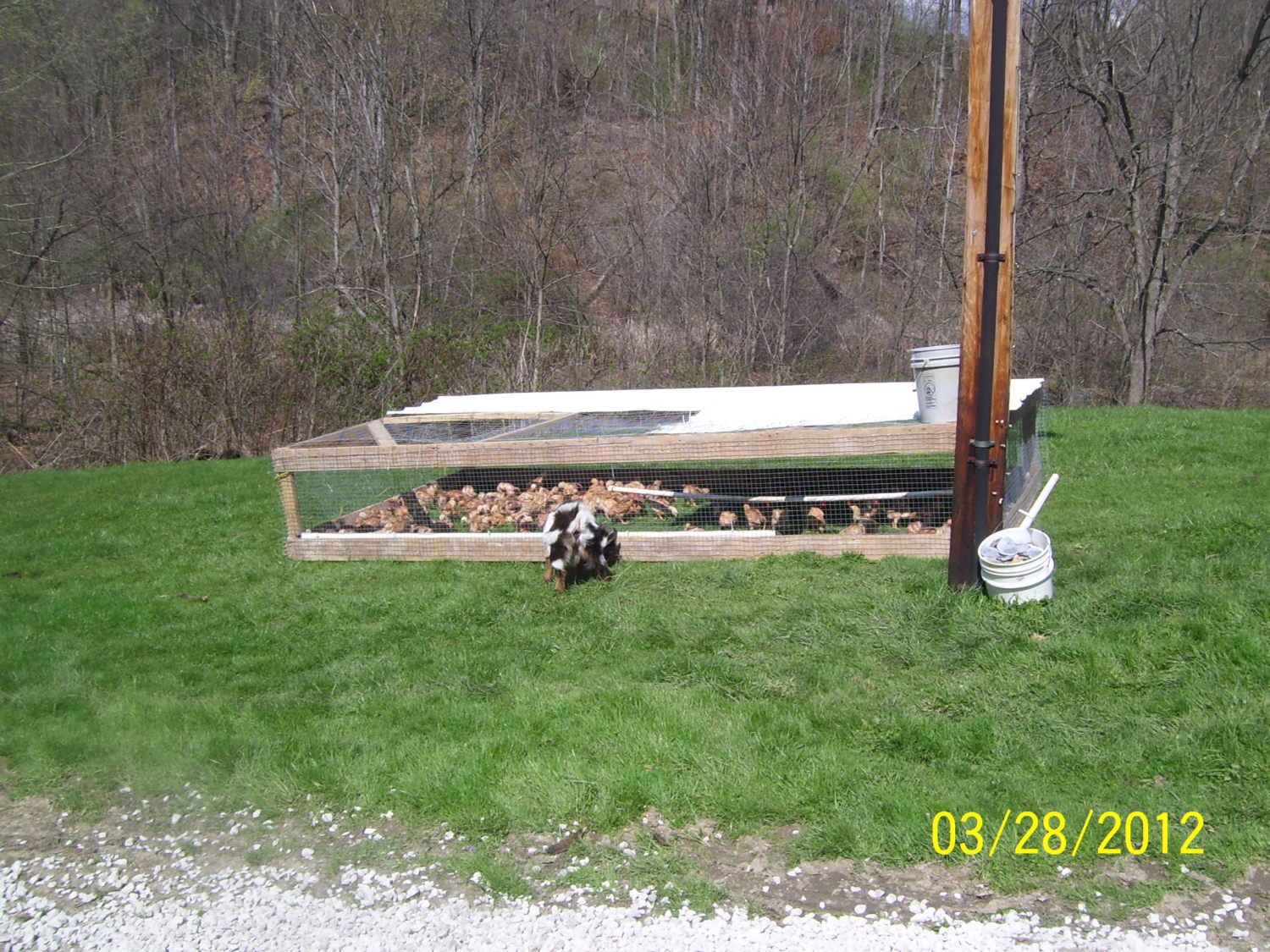 March 10 049.jpg