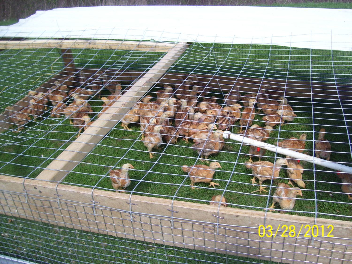 March 10 051.jpg