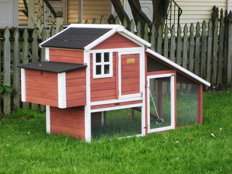 How to use a nonwalkin coop?? BackYard Chickens Learn How to Raise Chickens