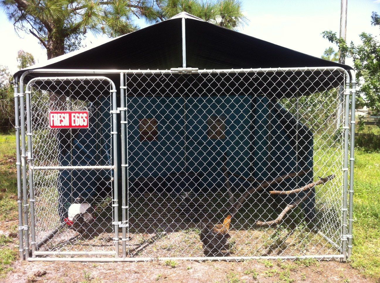 pictures of Build A Cheap Chicken Coop