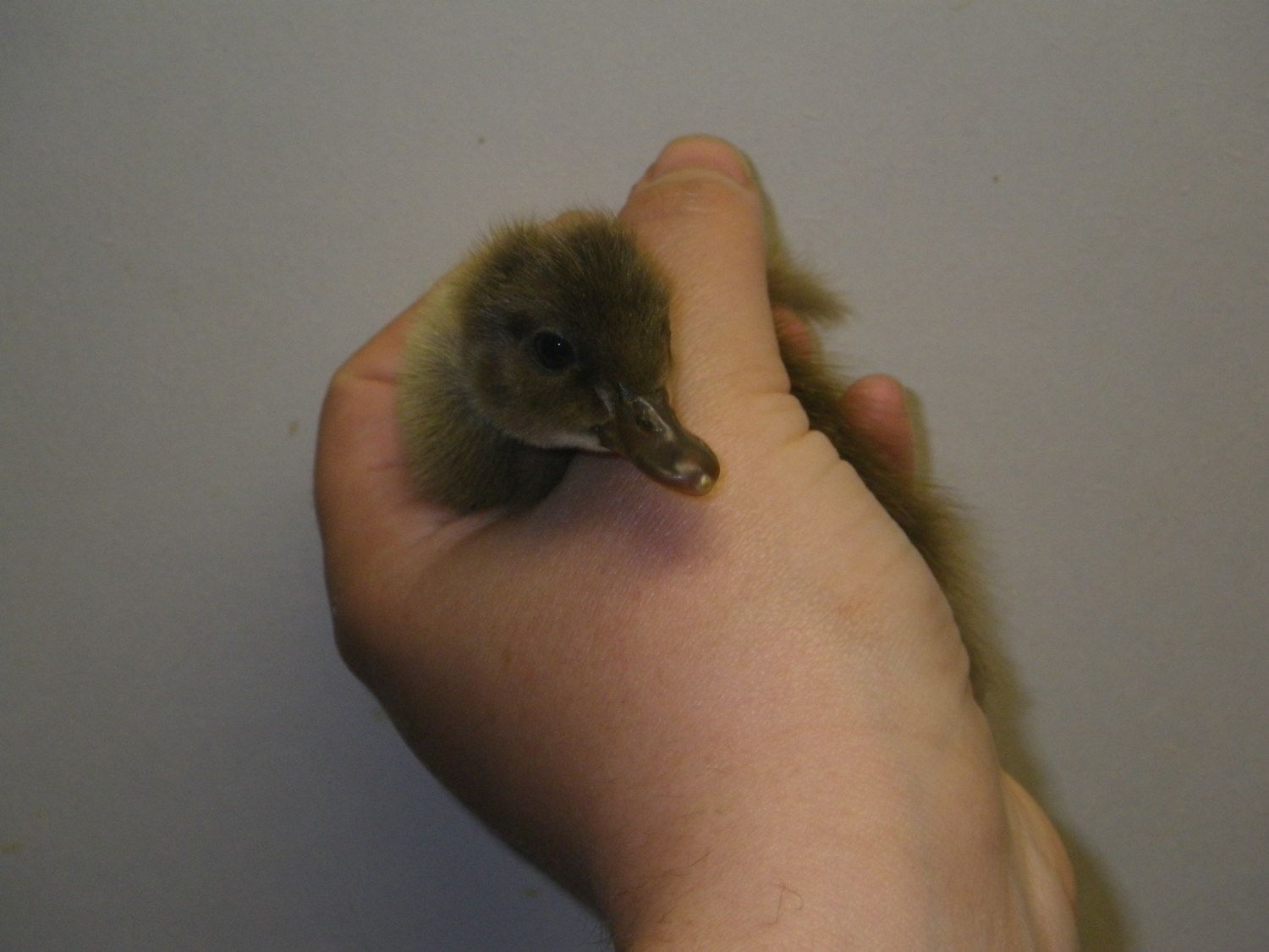 April 2012 002.JPG