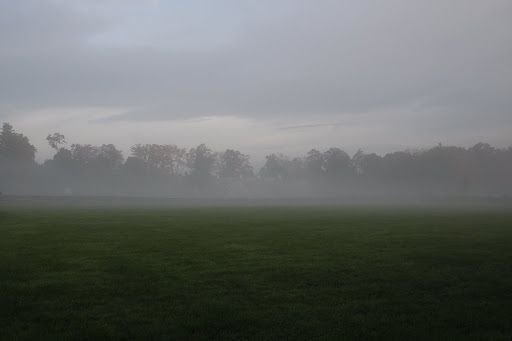 341