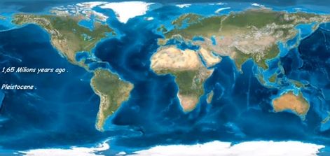 Pleistocene .jpg