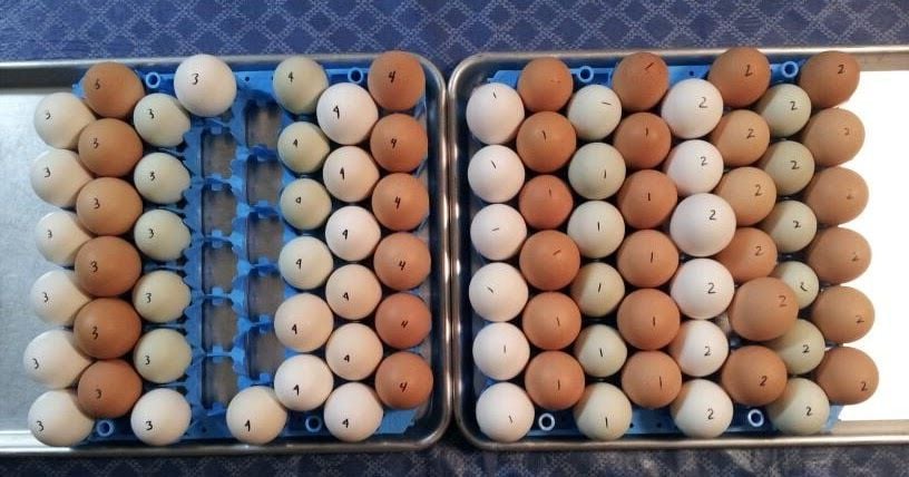 315