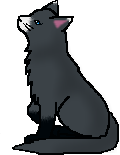 Rainwhisker.png