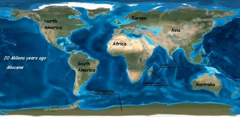 Miocene .jpg