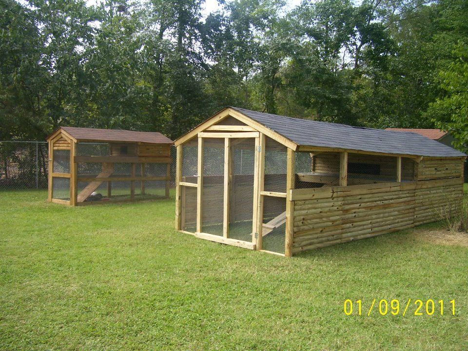 Denny Yam: How to build chicken coop for laying hens