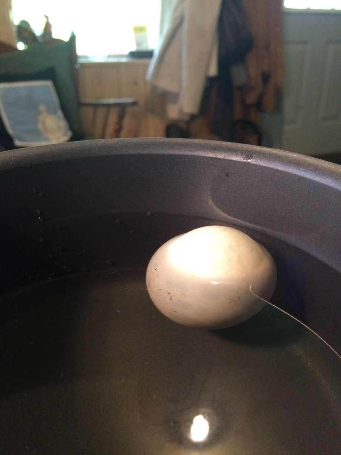 Float Testing, Checking Egg Viability For Late Or Overdue Hatching