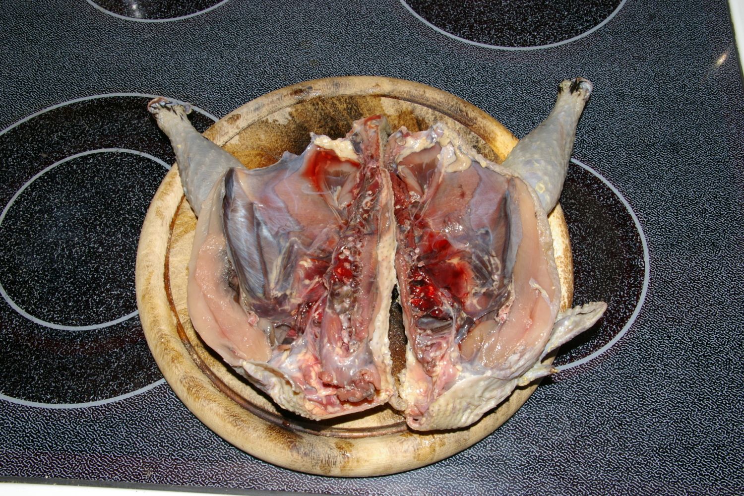 partly melanized dinner from inside