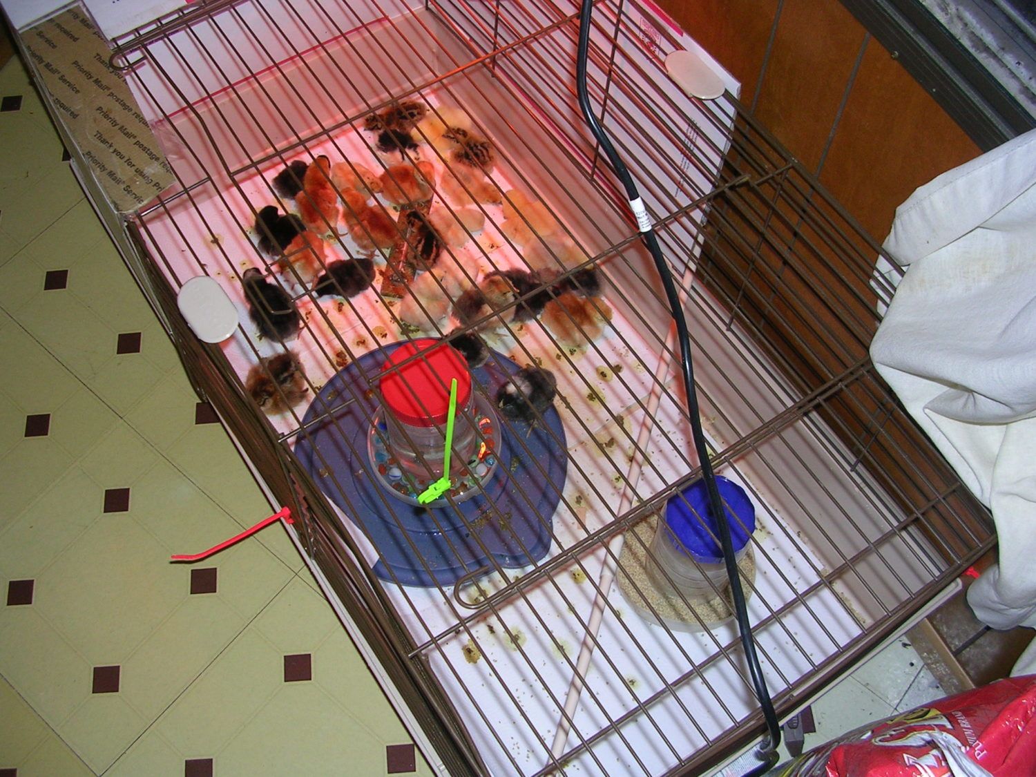 march1 025.JPG