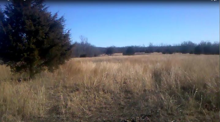factory rd pasture.JPG