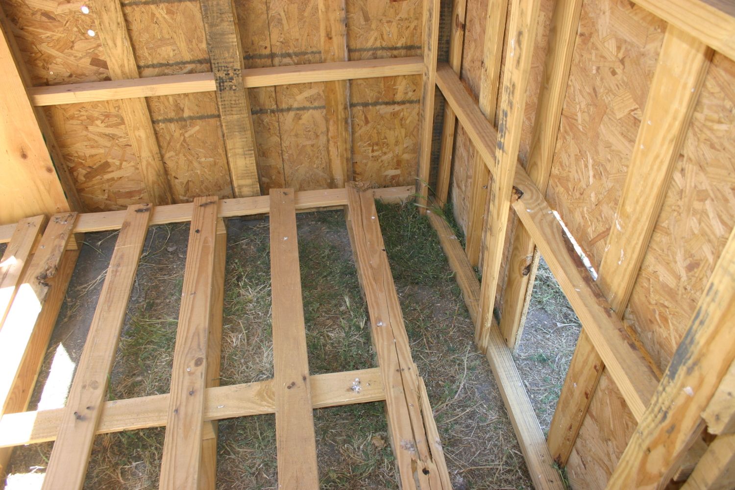 GOAL: Chicken Coop for under $50 with Pallets! (**Progress Pics!**)