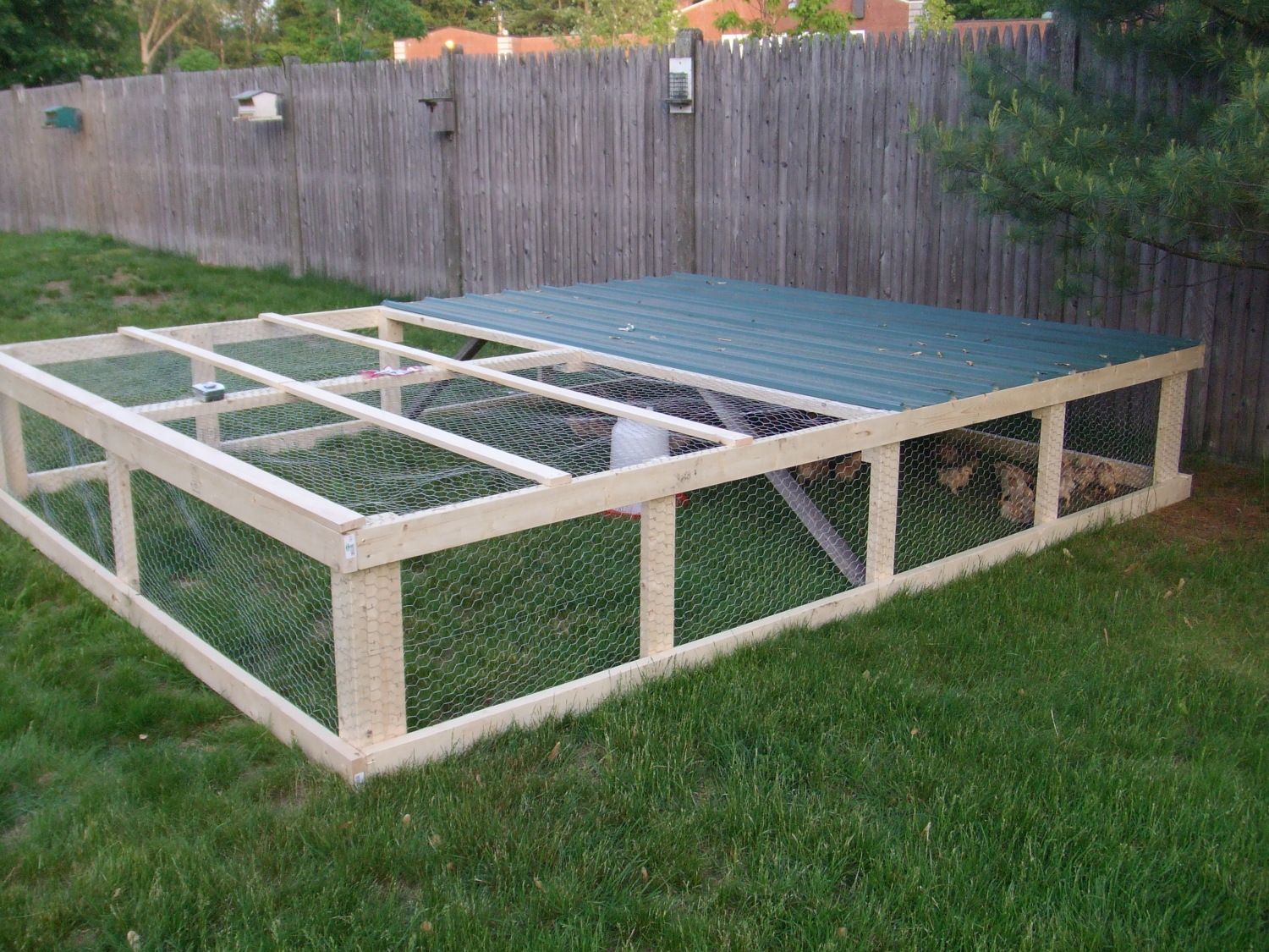Short term use coops for meat chickens? Need coop advice!