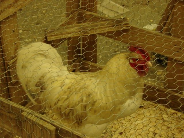 DSC04801.JPG
