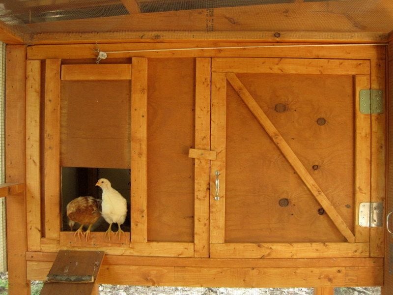 UPDATE-FINISHED! New Coop from "The Garden Coop" plans PIC HEAVY